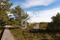 LL07_Amrum25_1304.jpg