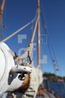 LL16_Apfelfahrt77_0111.JPG