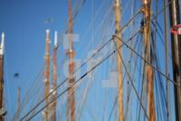LL16_Apfelfahrt83_0135.JPG