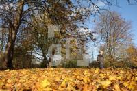LM06_Laub09_2069.JPG