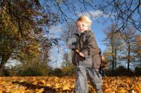 LM06_Laub15_2088.JPG