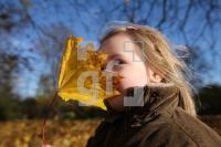 LM06_Laub32_2063.JPG