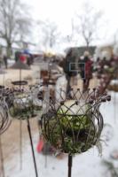 LN08_Stockseehof11_0118.JPG