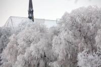 LN19_Bordesholm09_0193.JPG