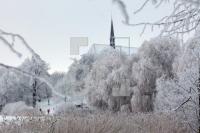 LN19_Bordesholm10_0190.JPG