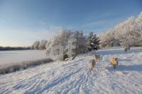 LN20_Winter14_0179.JPG