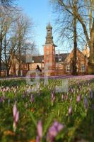 ME28_Husum03_0111.JPG