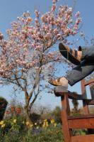MF20_Garten07_0173.JPG