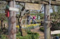 MF20_Garten16_0158.JPG