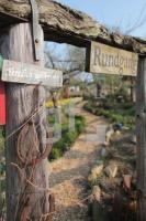 MF20_Garten23_0126.JPG