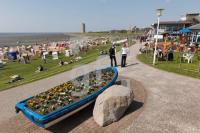 MF22_Buesum09_1300.jpg
