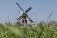 MF22_Langen02_0195.JPG