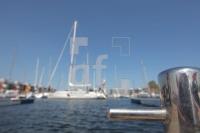 MF23_Segel01_0137.JPG