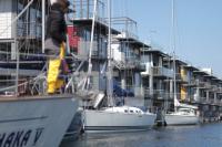 MF23_Segel04_0196.JPG