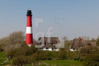 MF24_Pellworm20_1300.jpg