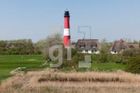 MF24_Pellworm21_1300.jpg