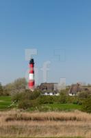 MF24_Pellworm25_1300.jpg