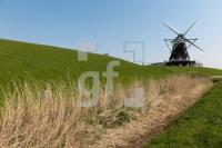 MF24_Pellworm54_1300.jpg