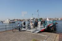 MF24_Schlei06_0121.JPG