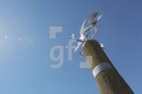 MG08_Flut02_0156.JPG