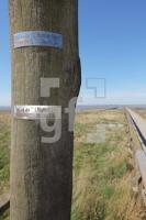 MG08_Flut06_0132.JPG