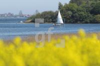 MG09_Schlei03_0148.JPG