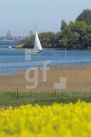 MG09_Schlei04_0145.JPG