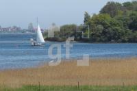 MG09_Schlei05_0141.JPG