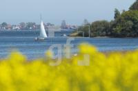 MG09_Schlei06_0135.JPG