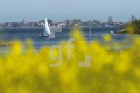 MG09_Schlei08_0124.JPG