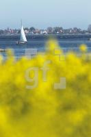 MG09_Schlei09_0122.JPG
