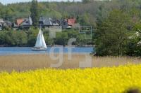 MG09_Schlei12_0105.JPG
