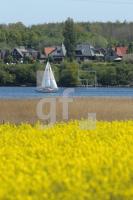 MG09_Schlei13_0102.JPG