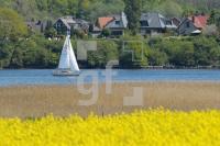 MG09_Schlei14_0197.JPG