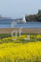 MG09_Schlei15_0188.JPG