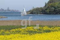 MG09_Schlei16_0186.JPG