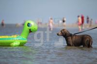 MH27_Hund_0121.JPG