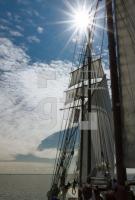 MJ27_Trave12_2321.jpg