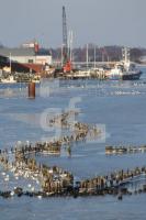 ND05_Kappeln10_0100.JPG