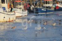 ND05_Maasholm02_0142.JPG
