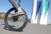 NF05_Rad01_0181.JPG