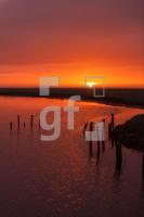 NF10_Langeness04_1300.jpg