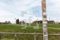 NF11_Langeness06_1300.jpg
