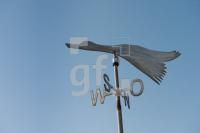 NF11_Langeness30_1300.jpg