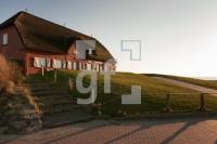 NF11_Langeness44_1300.jpg