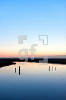 NF11_Langeness52_1300.jpg