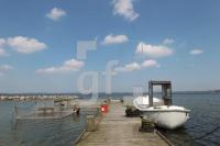 NF19_Bellin01_0113.JPG
