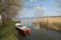 NF19_Bellin03_0117.JPG