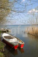 NF19_Bellin04_0119.JPG