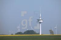 NG22_Fehmarn25_0106.JPG